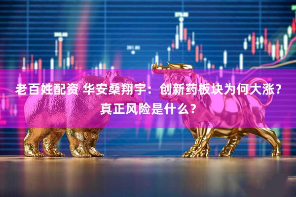 老百姓配资 华安桑翔宇：创新药板块为何大涨？真正风险是什么？