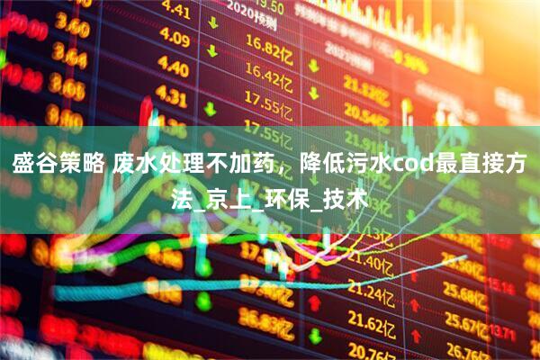 盛谷策略 废水处理不加药，降低污水cod最直接方法_京上_环保_技术